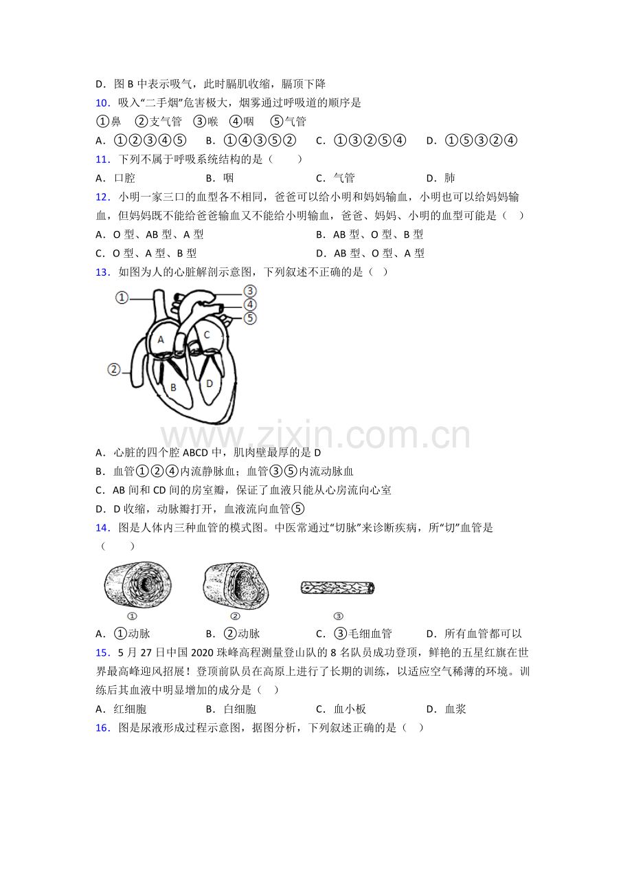 2023年人教版中学初一下册生物期中复习(及解析)图文.doc_第3页