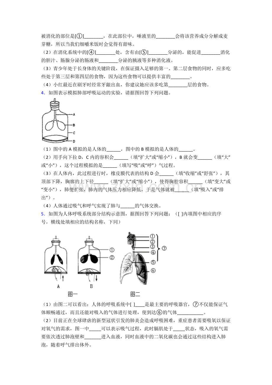 2024年人教版初一下册生物期末解答实验探究大题质量监测试卷(及答案)大全.doc_第2页