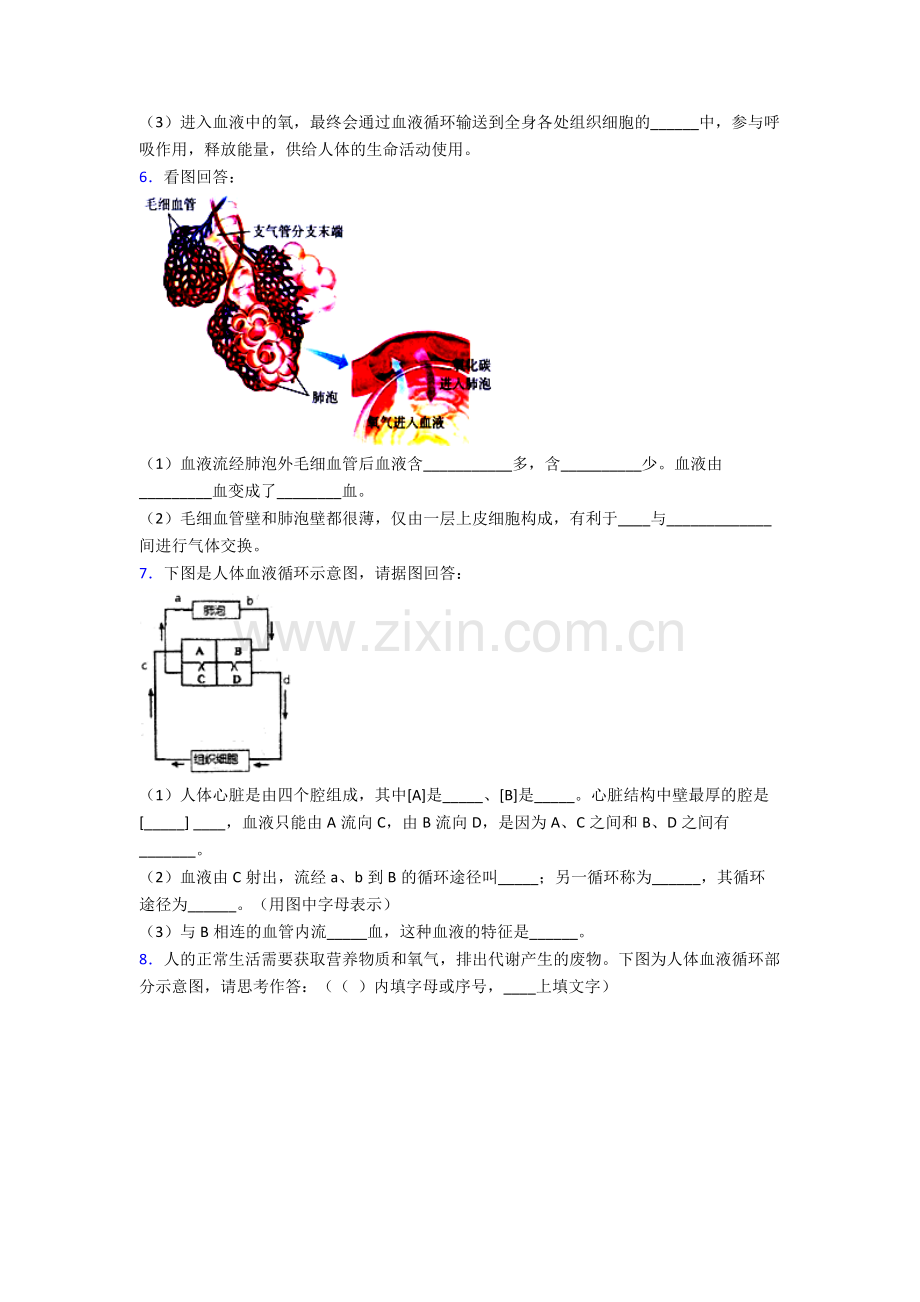 2024年人教版初一下册生物期末解答实验探究大题质量监测试卷(及答案)大全.doc_第3页