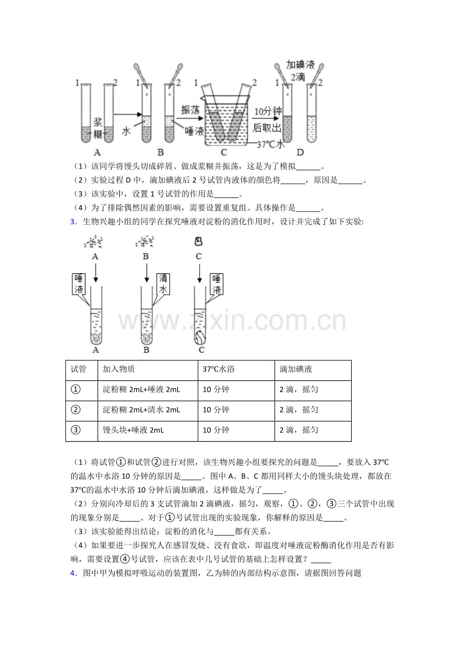 人教七年级下册生物期末解答实验探究大题考试试卷附答案优秀.doc_第2页