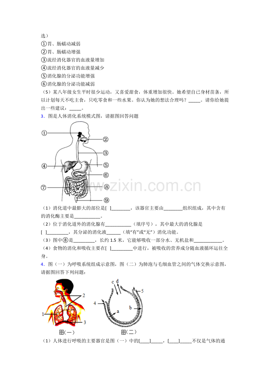 2023年人教版中学初一下册生物期末解答实验探究大题复习试卷含解析优秀.doc_第2页