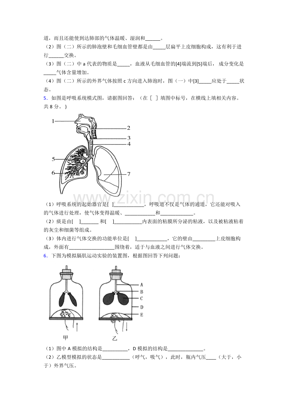 2023年人教版中学初一下册生物期末解答实验探究大题复习试卷含解析优秀.doc_第3页