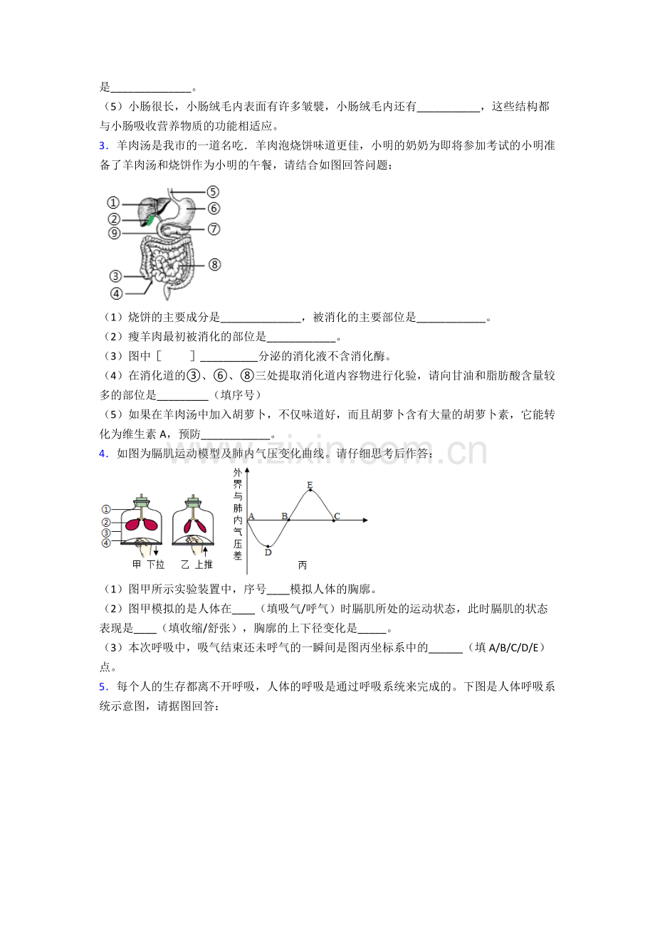 人教版中学初一下册生物期末解答实验探究大题学业水平试卷含答案word.doc_第2页