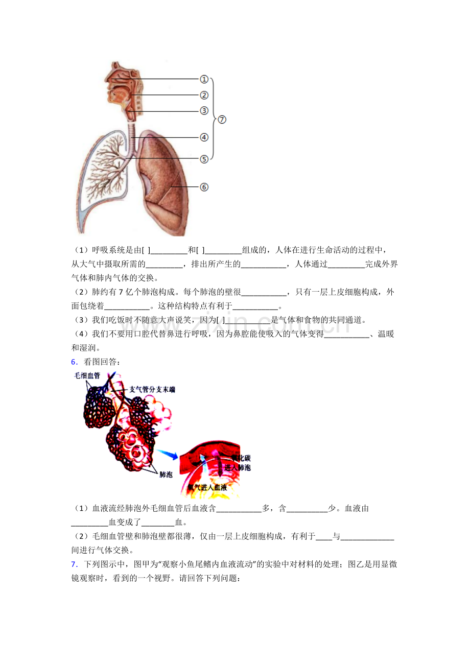 人教版中学初一下册生物期末解答实验探究大题学业水平试卷含答案word.doc_第3页