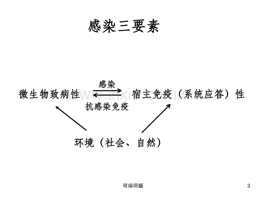 细菌的感染与免疫(1).ppt_第3页