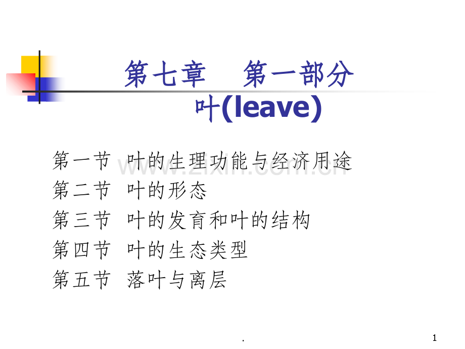 被子植物叶的形态结构和功能.ppt_第1页