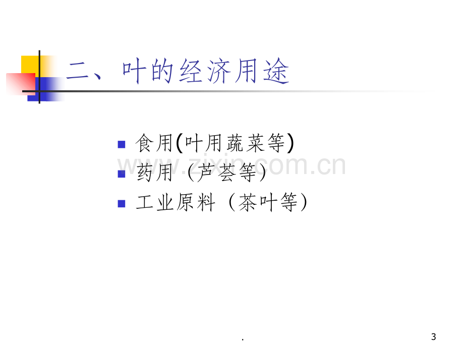 被子植物叶的形态结构和功能.ppt_第3页