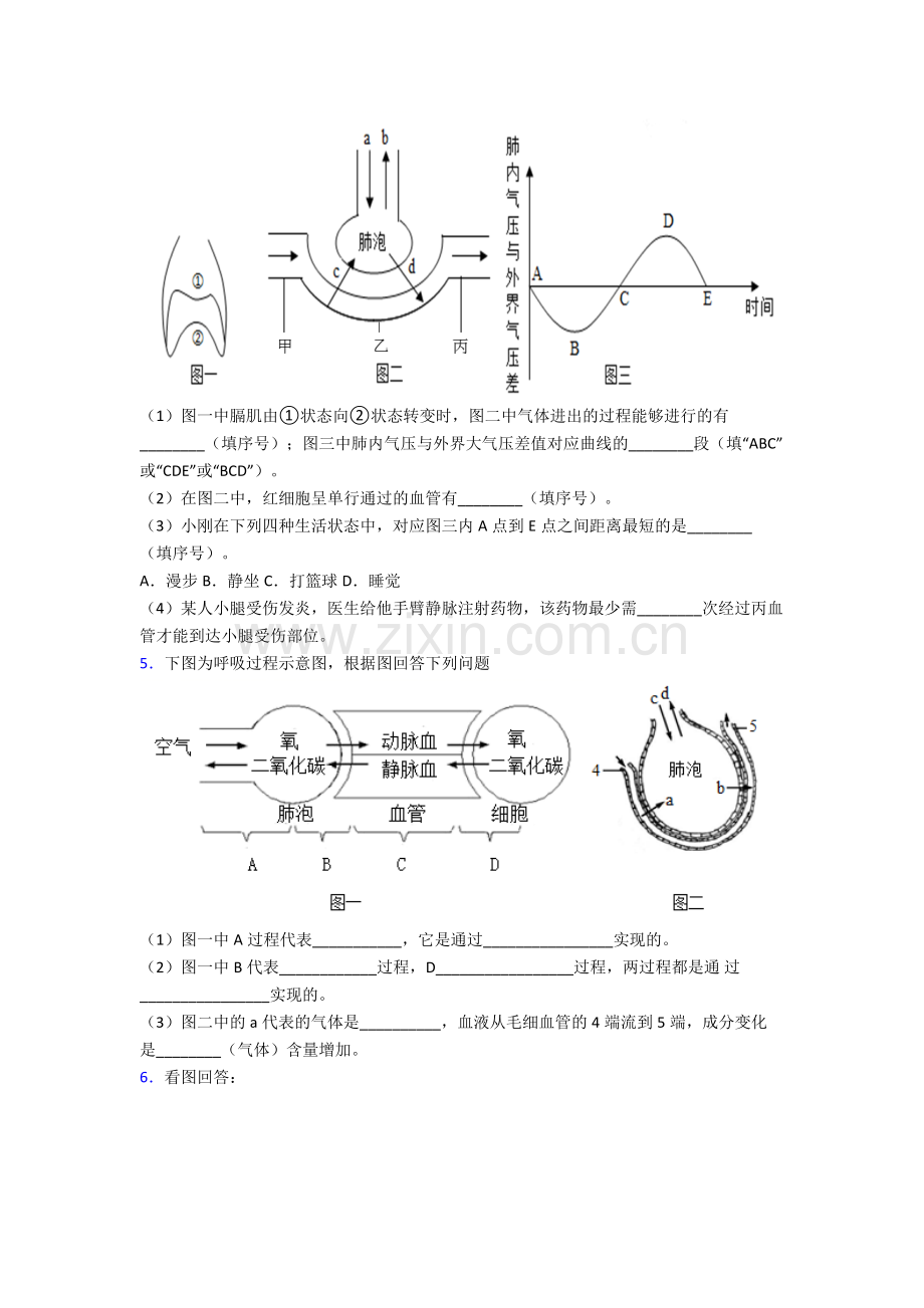 2023年人教版初一下册生物期末解答实验探究大题综合复习试卷含答案word.doc_第3页