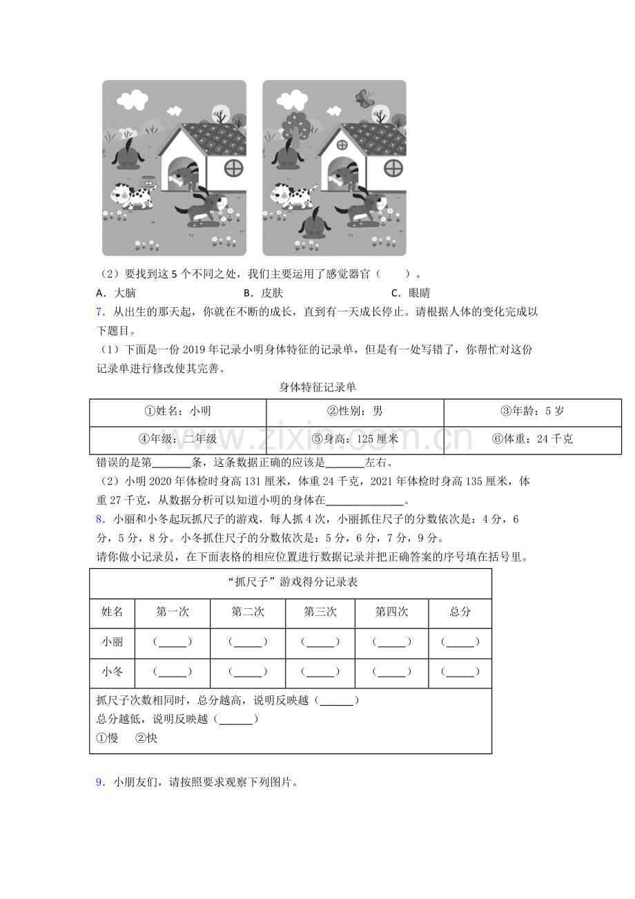 二年级期末实验复习试卷达标训练题(Word版含答案).doc_第3页