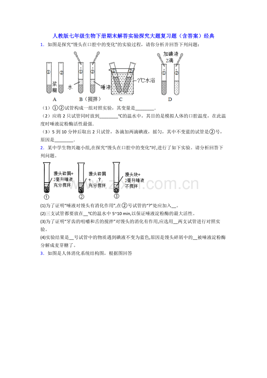 人教版七年级生物下册期末解答实验探究大题复习题(含答案)经典.doc_第1页