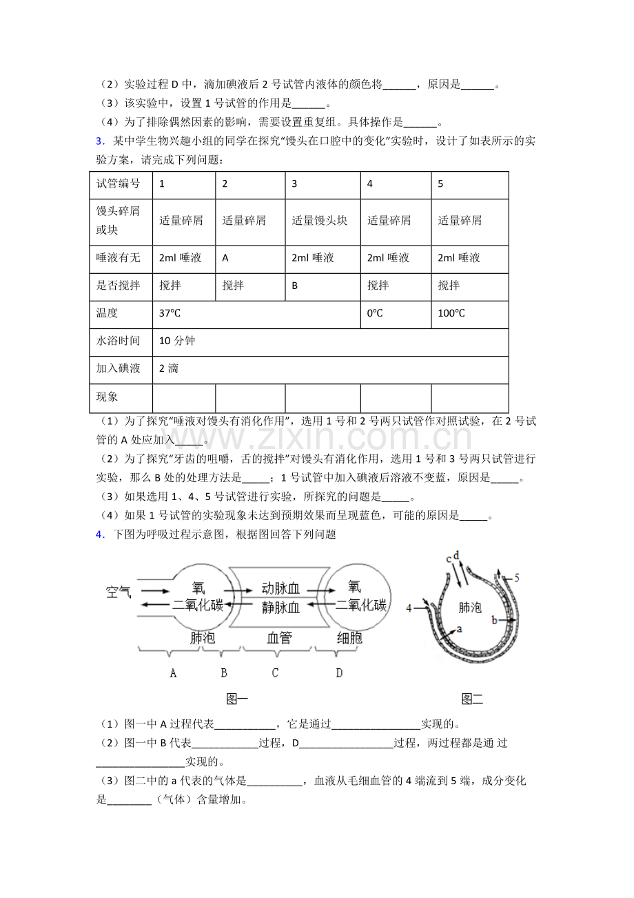 人教版中学初一下册生物期末解答实验探究大题学业水平题(含答案).doc_第2页