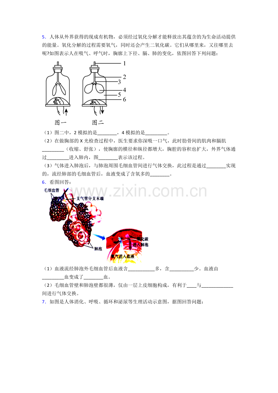 人教版中学初一下册生物期末解答实验探究大题学业水平题(含答案).doc_第3页