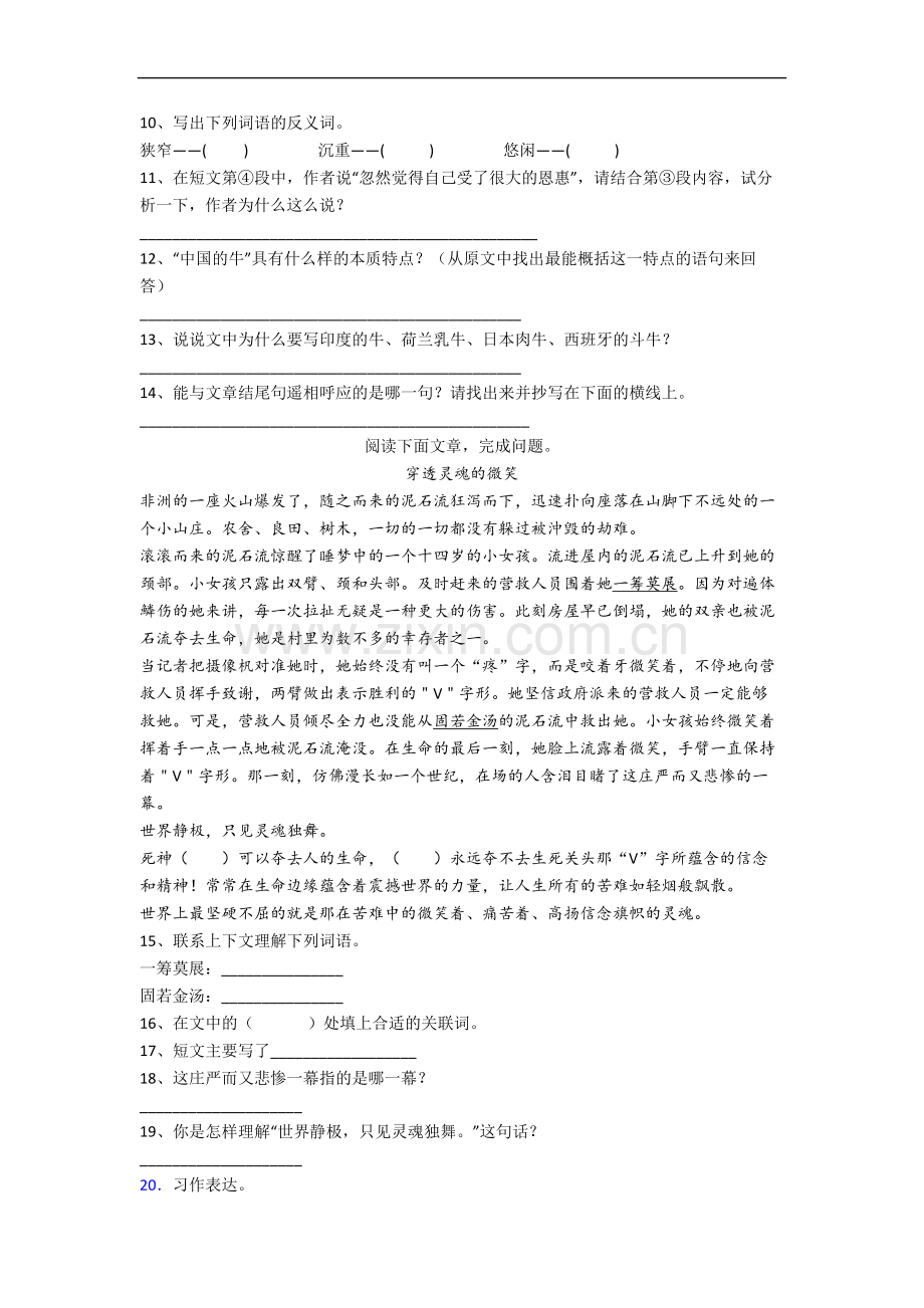 部编版语文六年级上学期期末试卷测试题(含答案).docx_第3页