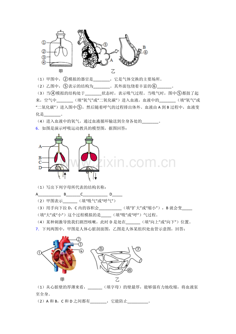 人教版七年级生物下册期末解答实验探究大题质量监测题含解析.doc_第3页