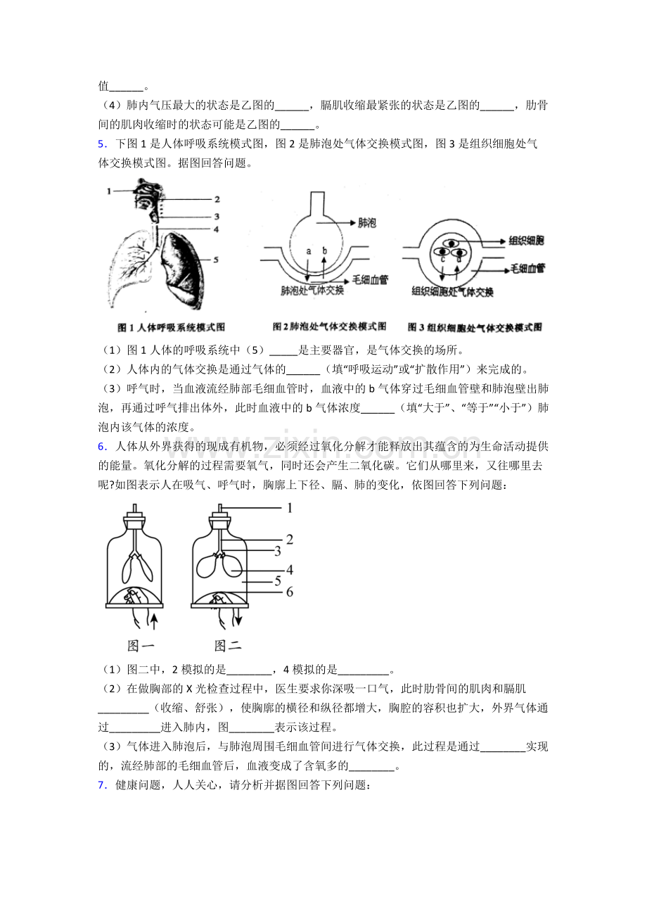 人教七年级下册生物期末解答实验探究大题试题(附答案).doc_第3页