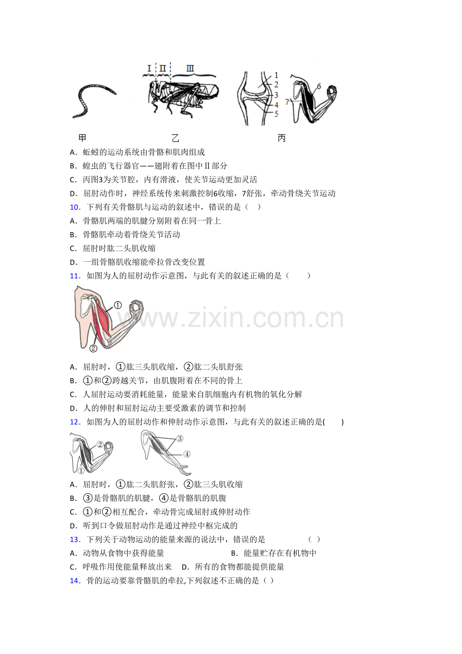 八年级上册期末强化生物试题附答案.doc_第2页