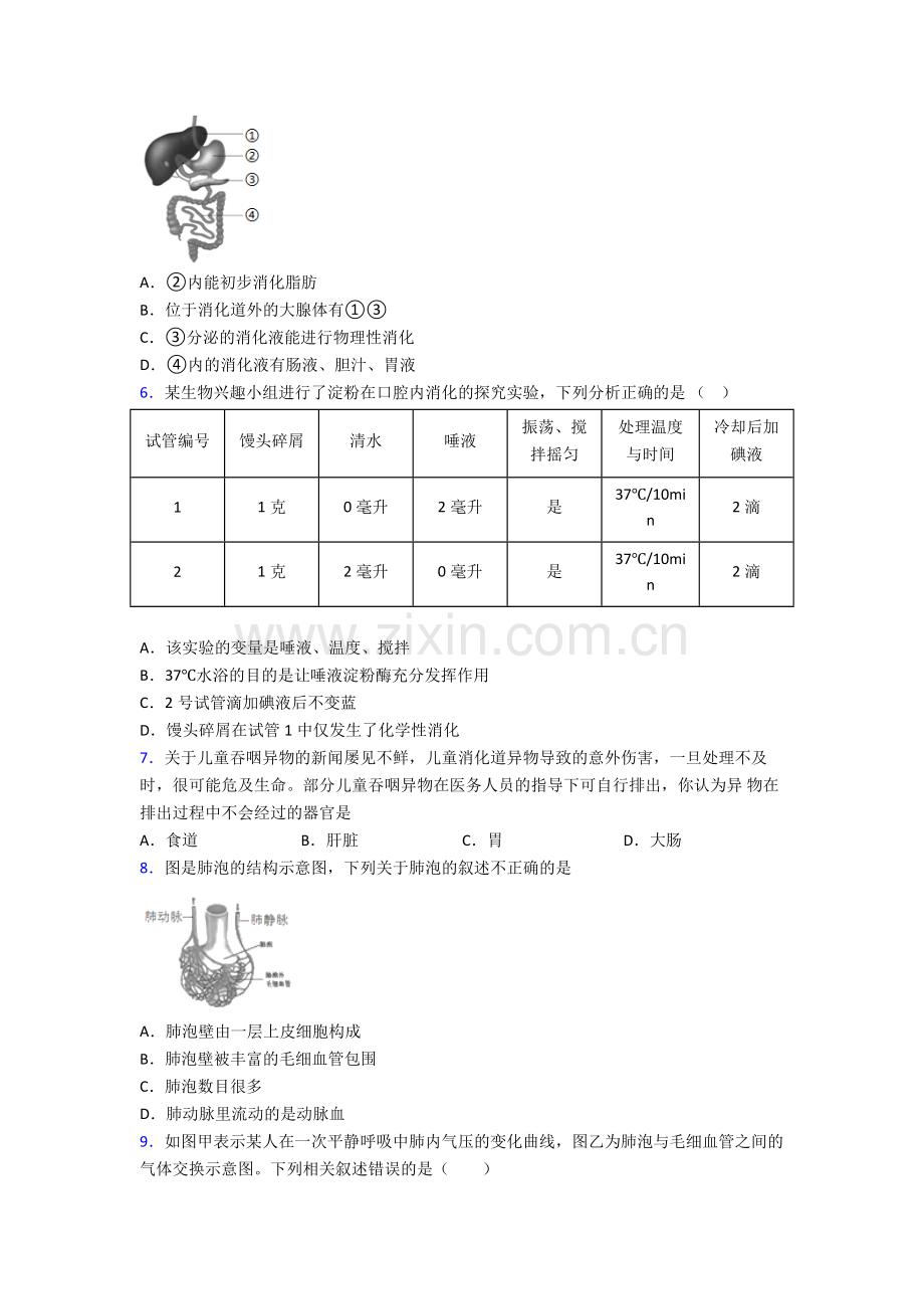 2024年人教版中学初一下册生物期末综合复习卷含答案word.doc_第2页