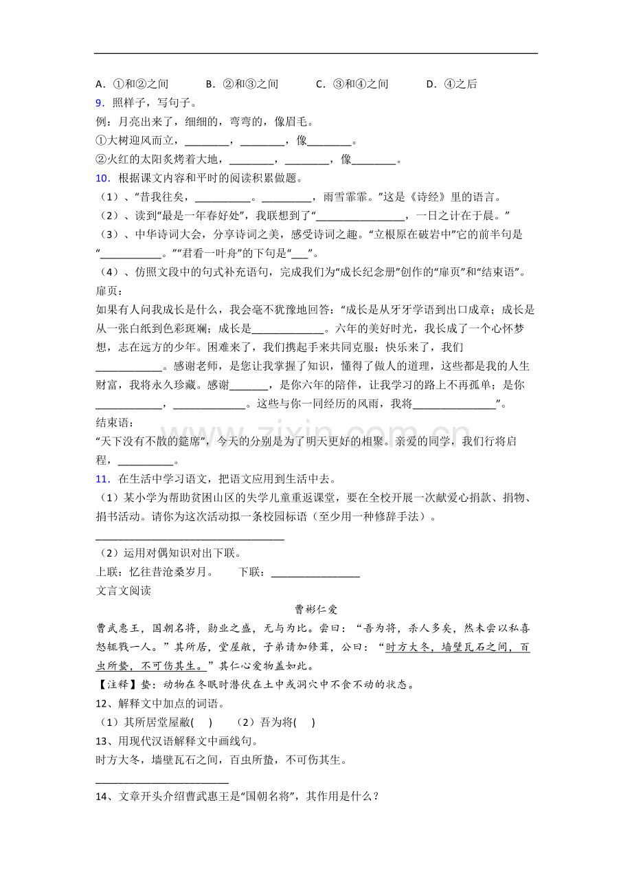 上海市闸北区第一中心小学小学六年级小升初期末语文试卷.docx_第2页