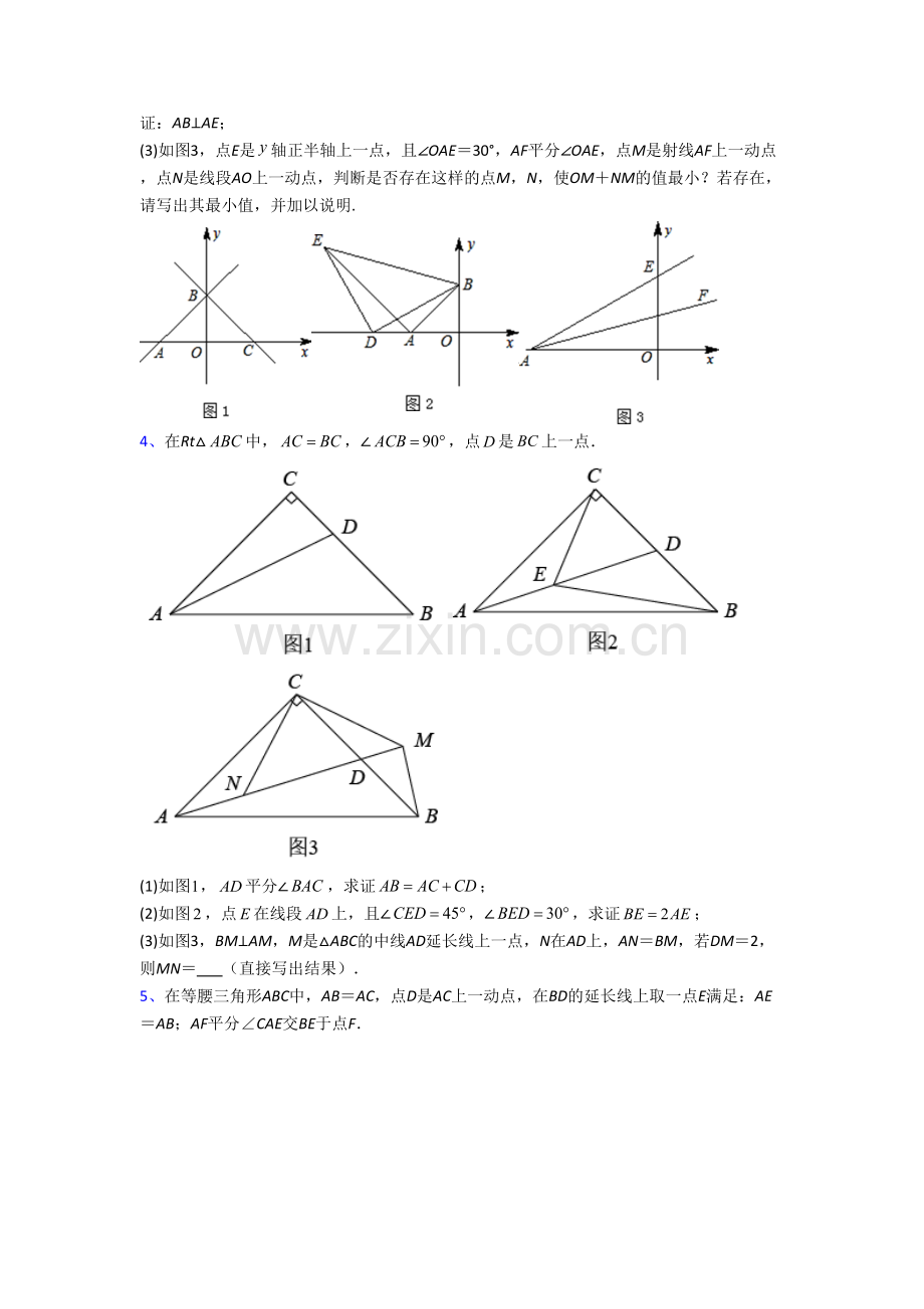 数学初二上学期压轴题试卷附答案[001].doc_第2页