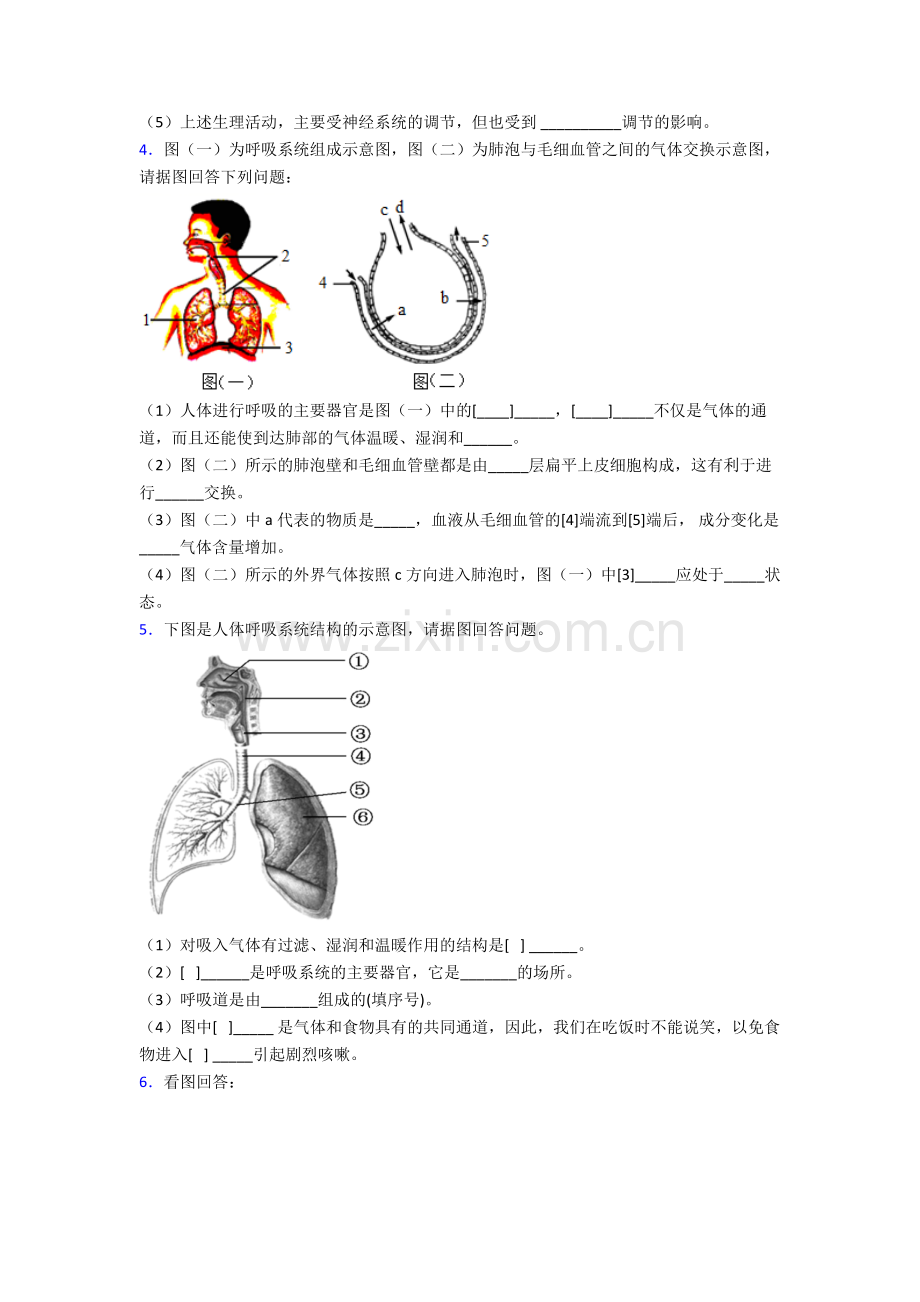 人教七年级下册生物期末解答实验探究大题综合复习卷含答案.doc_第3页