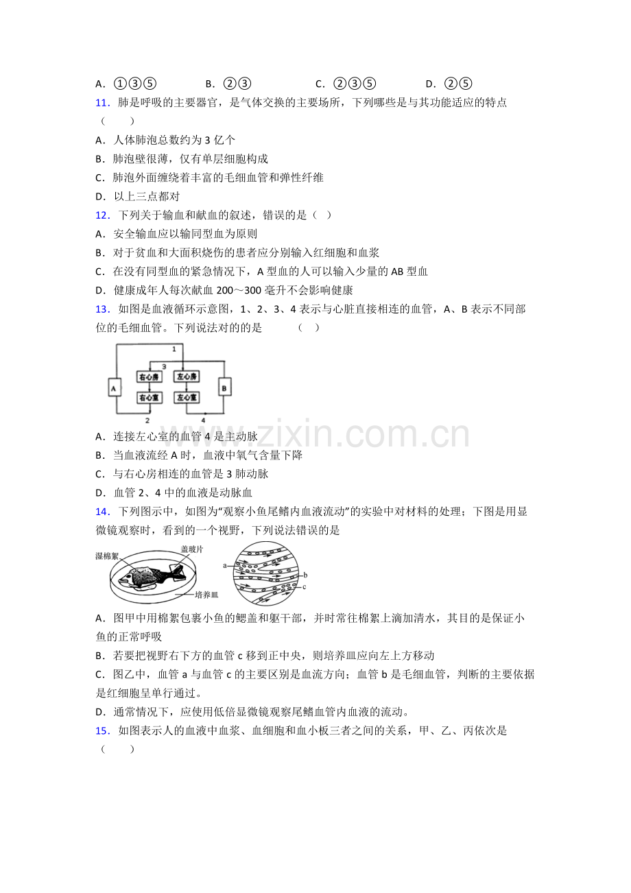 2022年人教版初一下册生物期末复习试卷(及解析)大全.doc_第3页