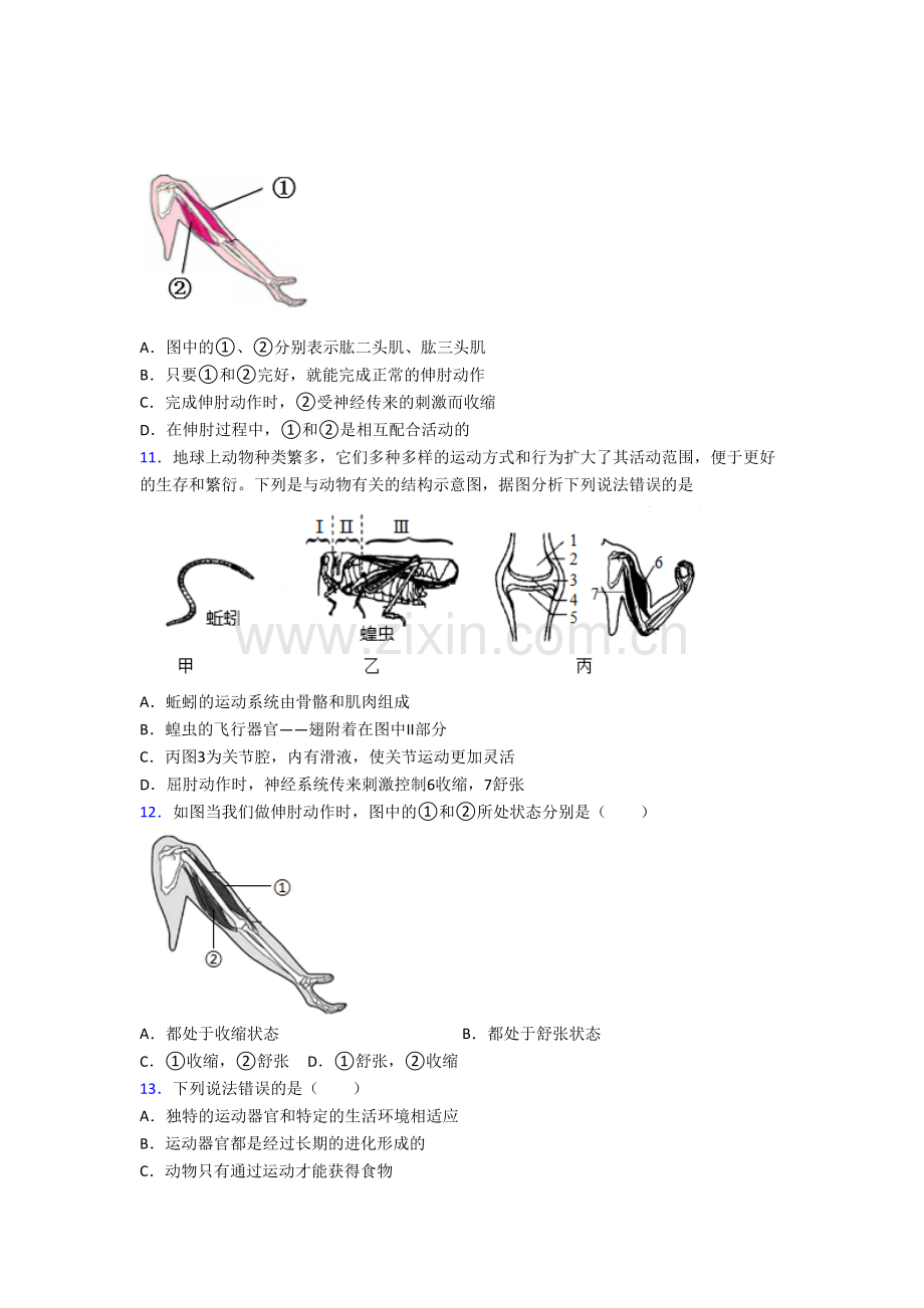 生物初二上学期期末综合检测试卷带答案.doc_第2页