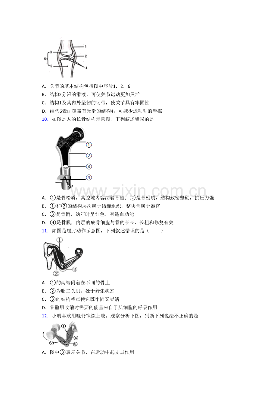 初二生物上册期末综合试题.doc_第2页