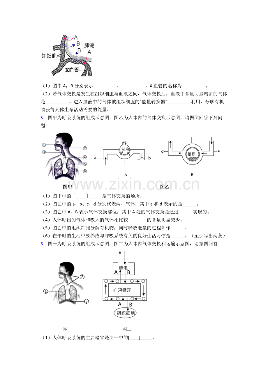 人教七年级下册生物期末解答实验探究大题综合复习(含答案)图文.doc_第3页