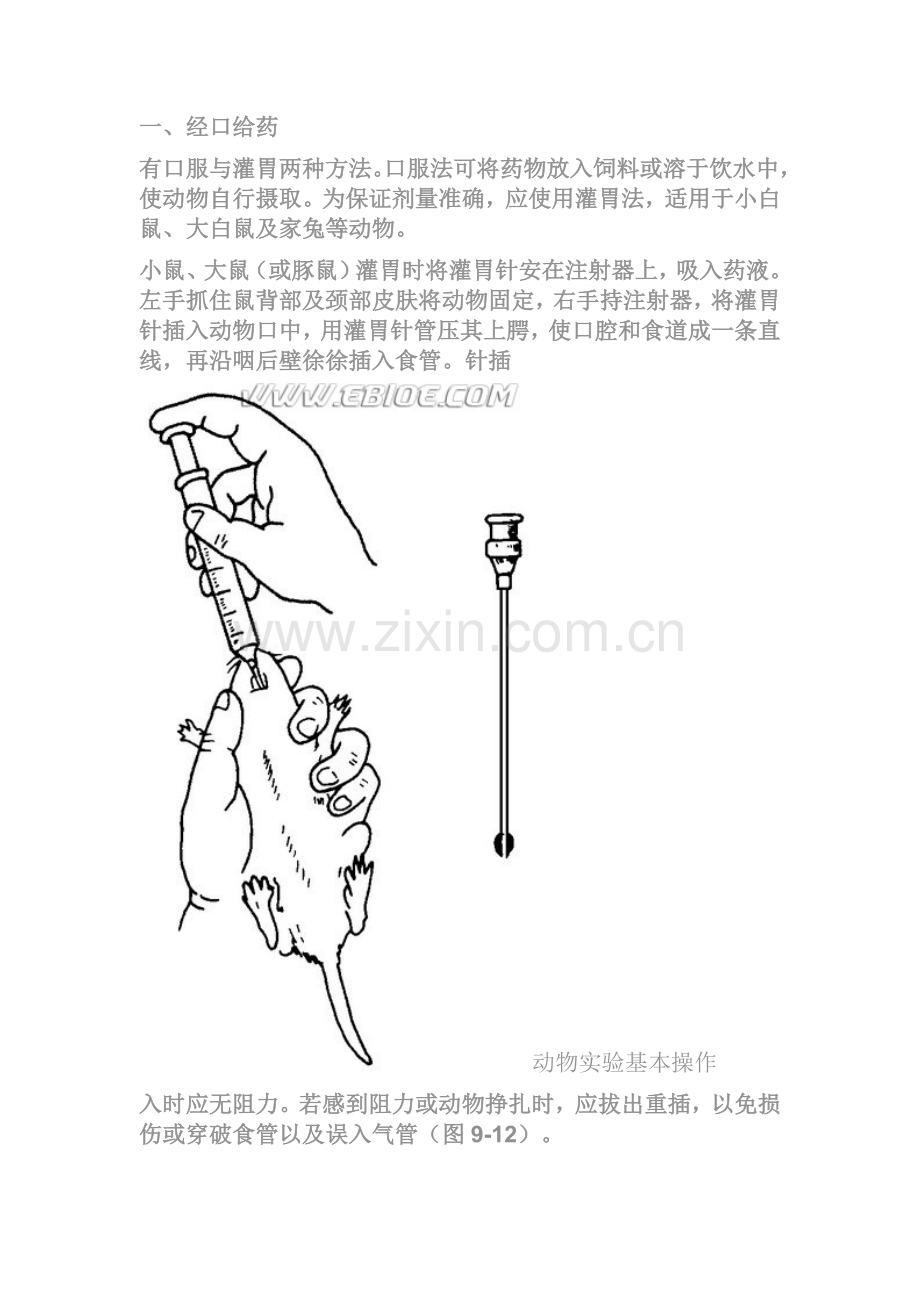 动物实验操作.doc_第1页