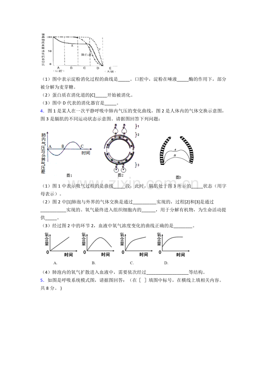 2023年人教版中学初一下册生物期末解答实验探究大题复习试卷附答案.doc_第2页