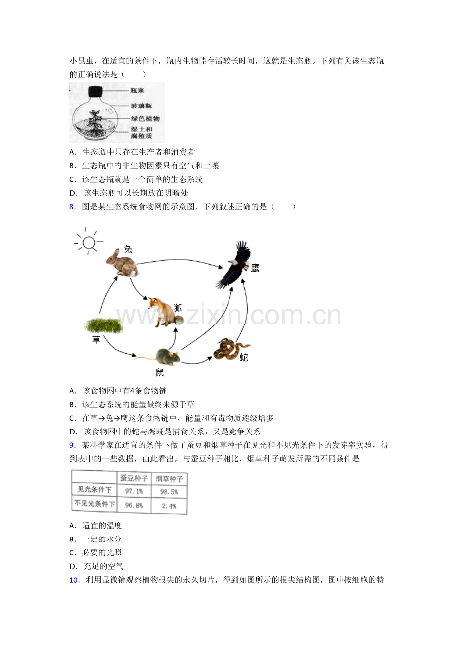 七年级生物上册期末质量检测试题解析(-).doc_第2页