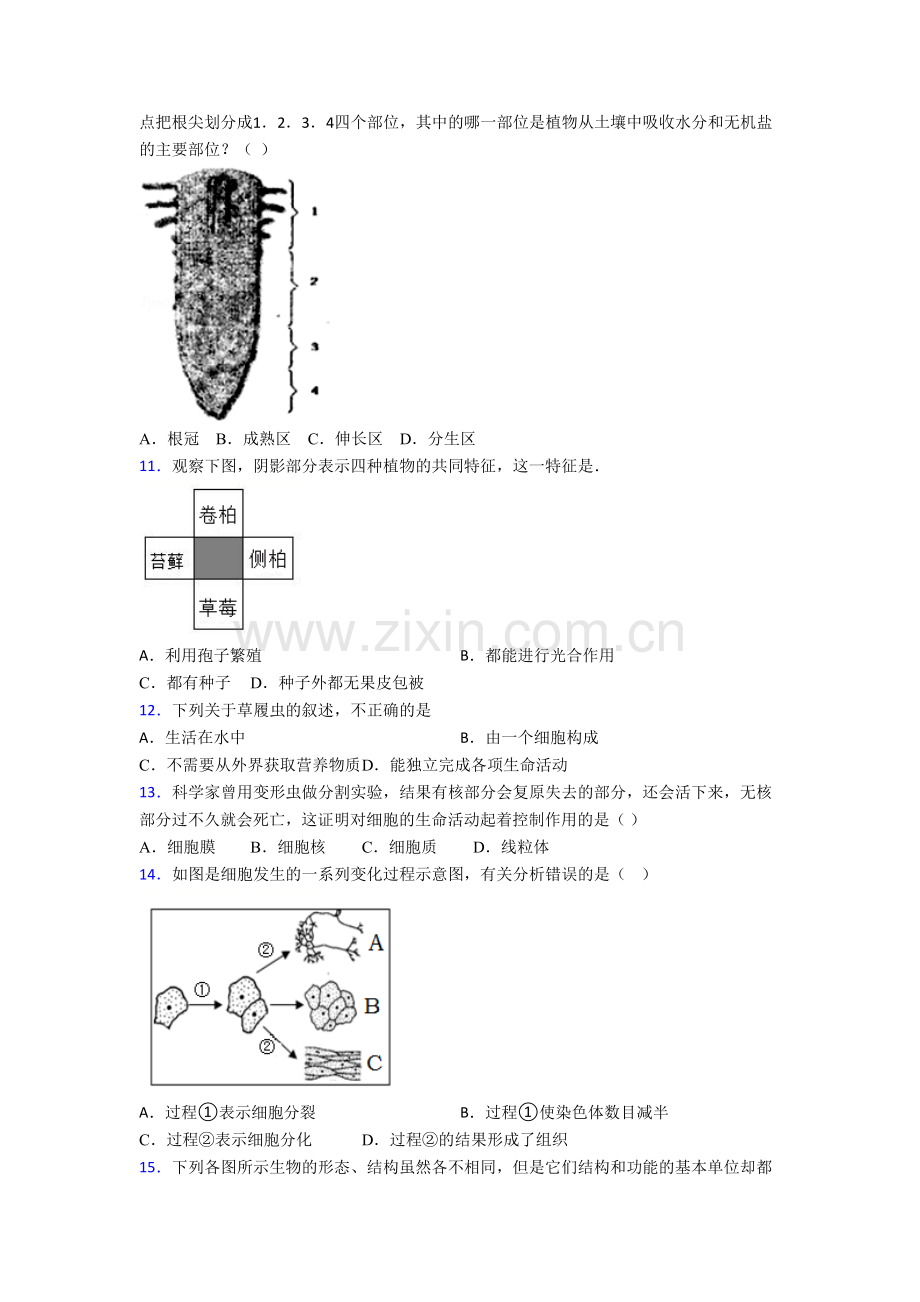 七年级生物上册期末质量检测试题解析(-).doc_第3页