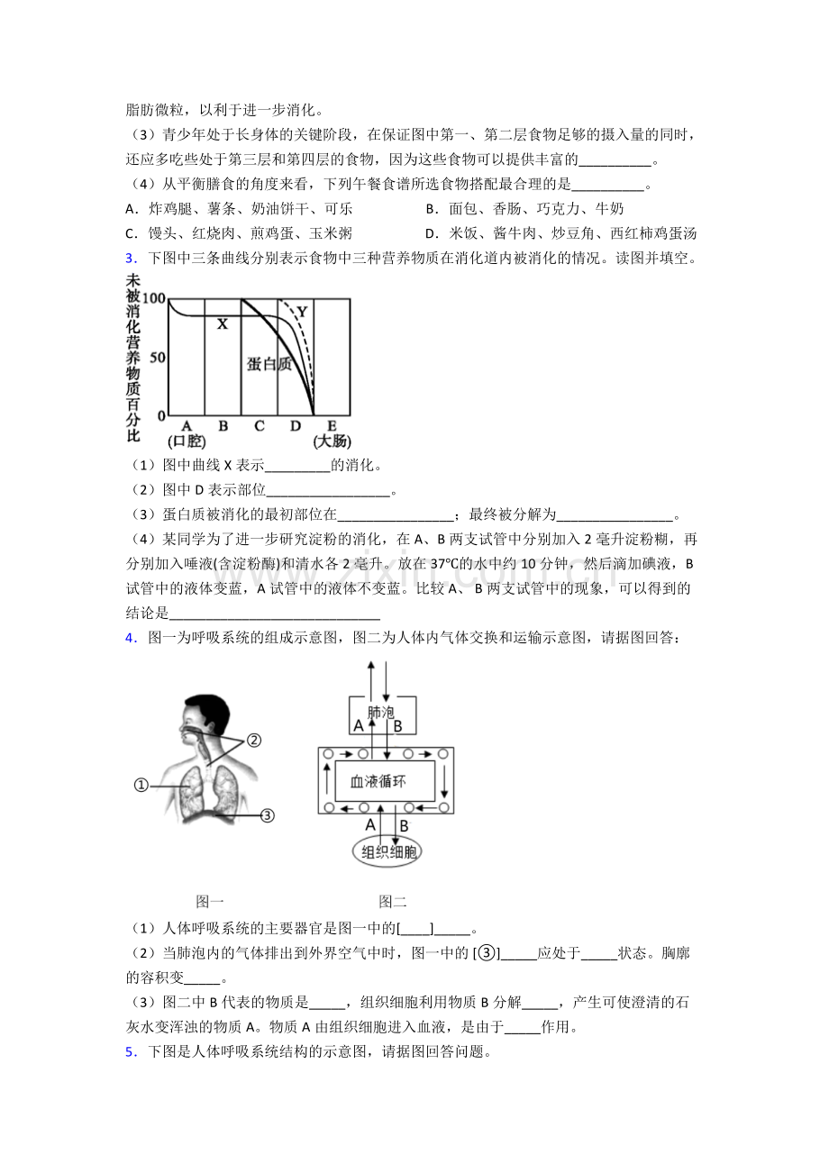 2023年人教版初一下册生物期末解答实验探究大题综合复习卷及解析.doc_第2页