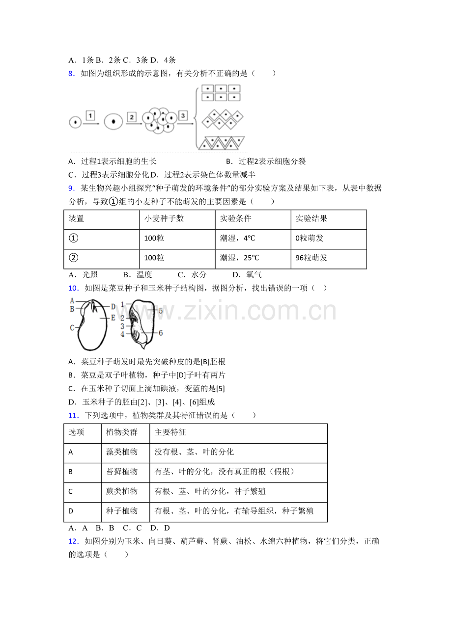 生物七年级上册期末强化质量检测试题解析(-).doc_第2页