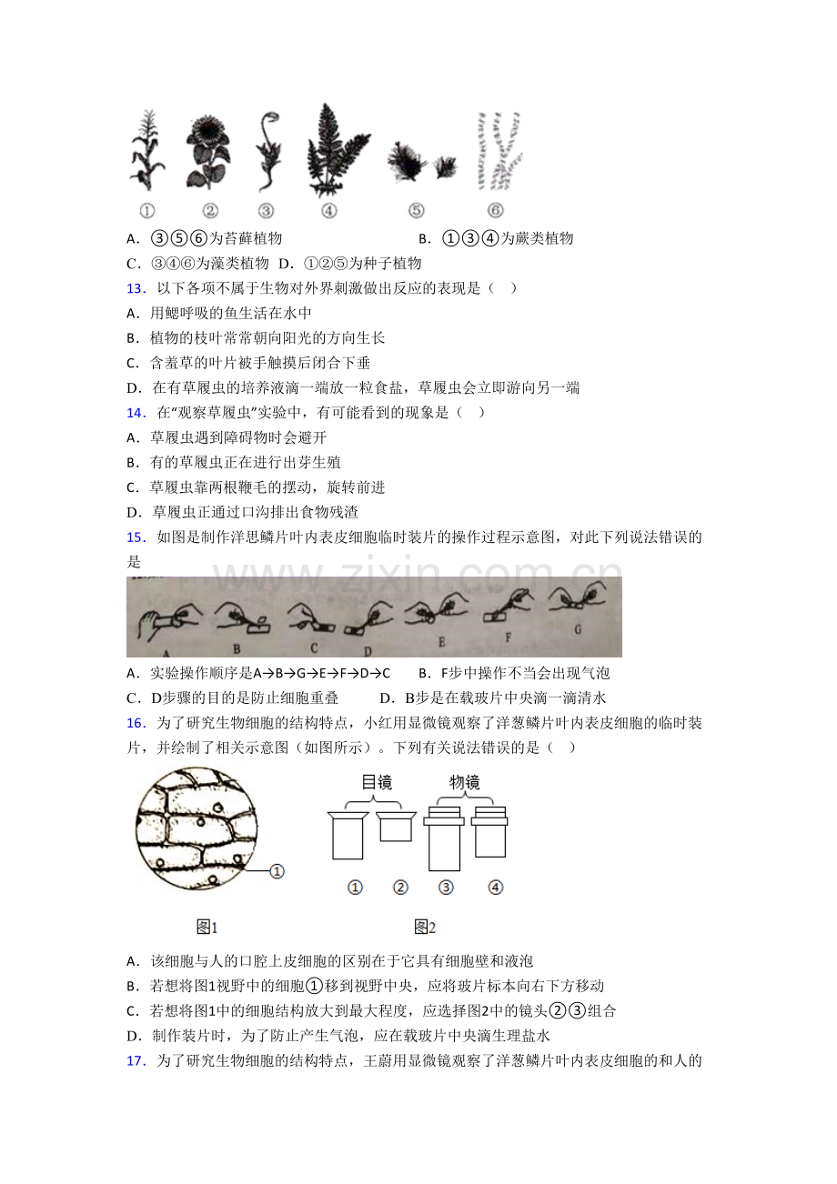 生物七年级上册期末强化质量检测试题解析(-).doc_第3页