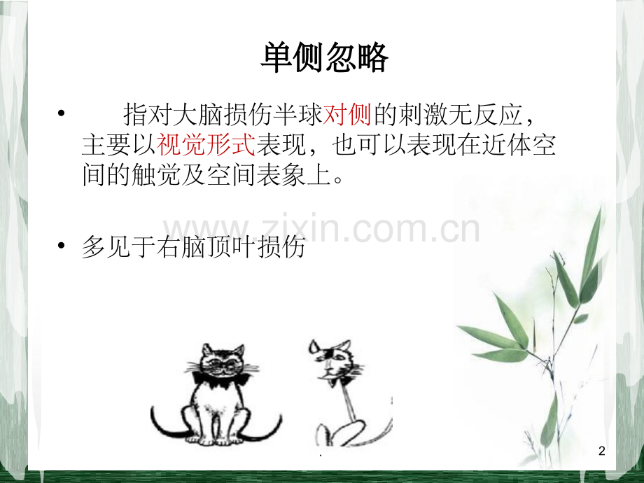 单侧忽略的评定.ppt_第2页