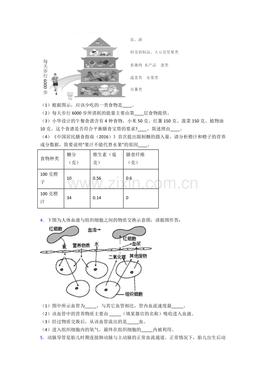 2022年人教版初一下册生物期末解答实验探究大题测试及答案.doc_第2页