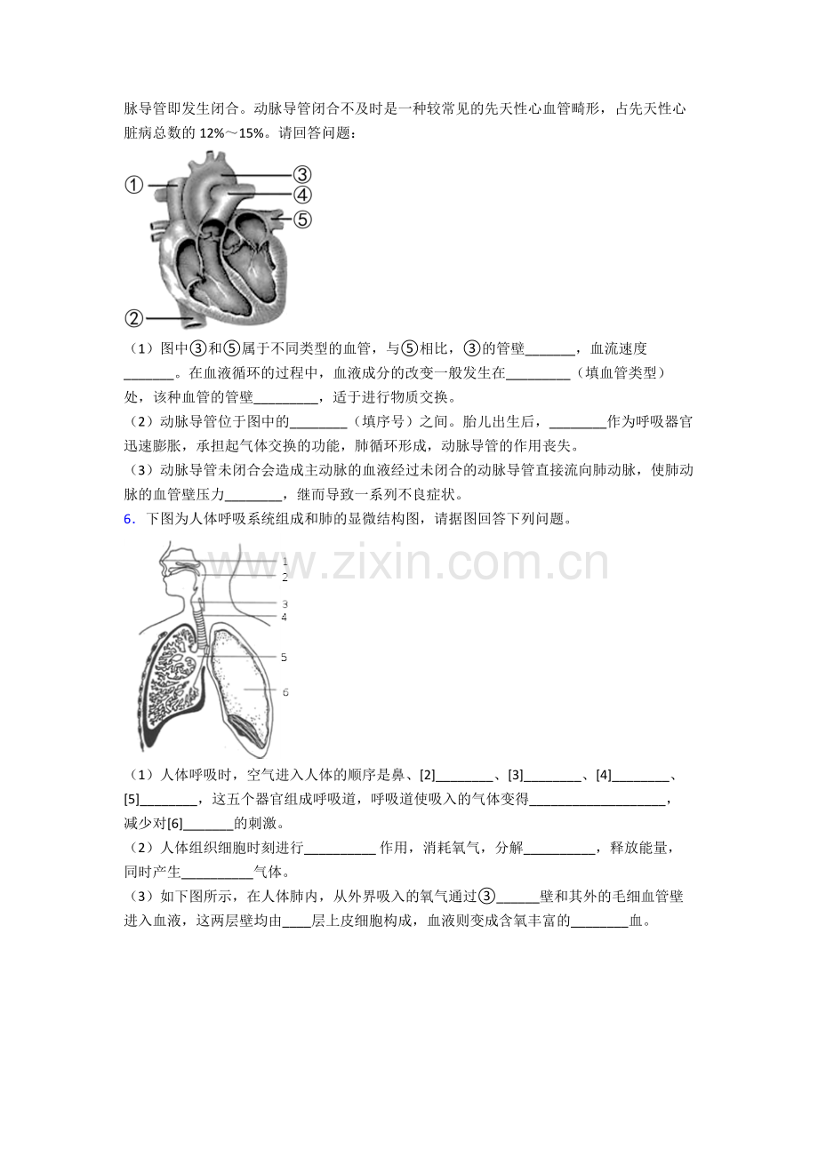 2022年人教版初一下册生物期末解答实验探究大题测试及答案.doc_第3页