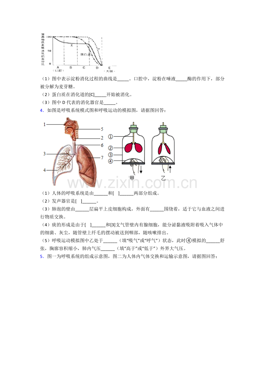 人教七年级下册生物期末解答实验探究大题综合复习含答案图文.doc_第2页