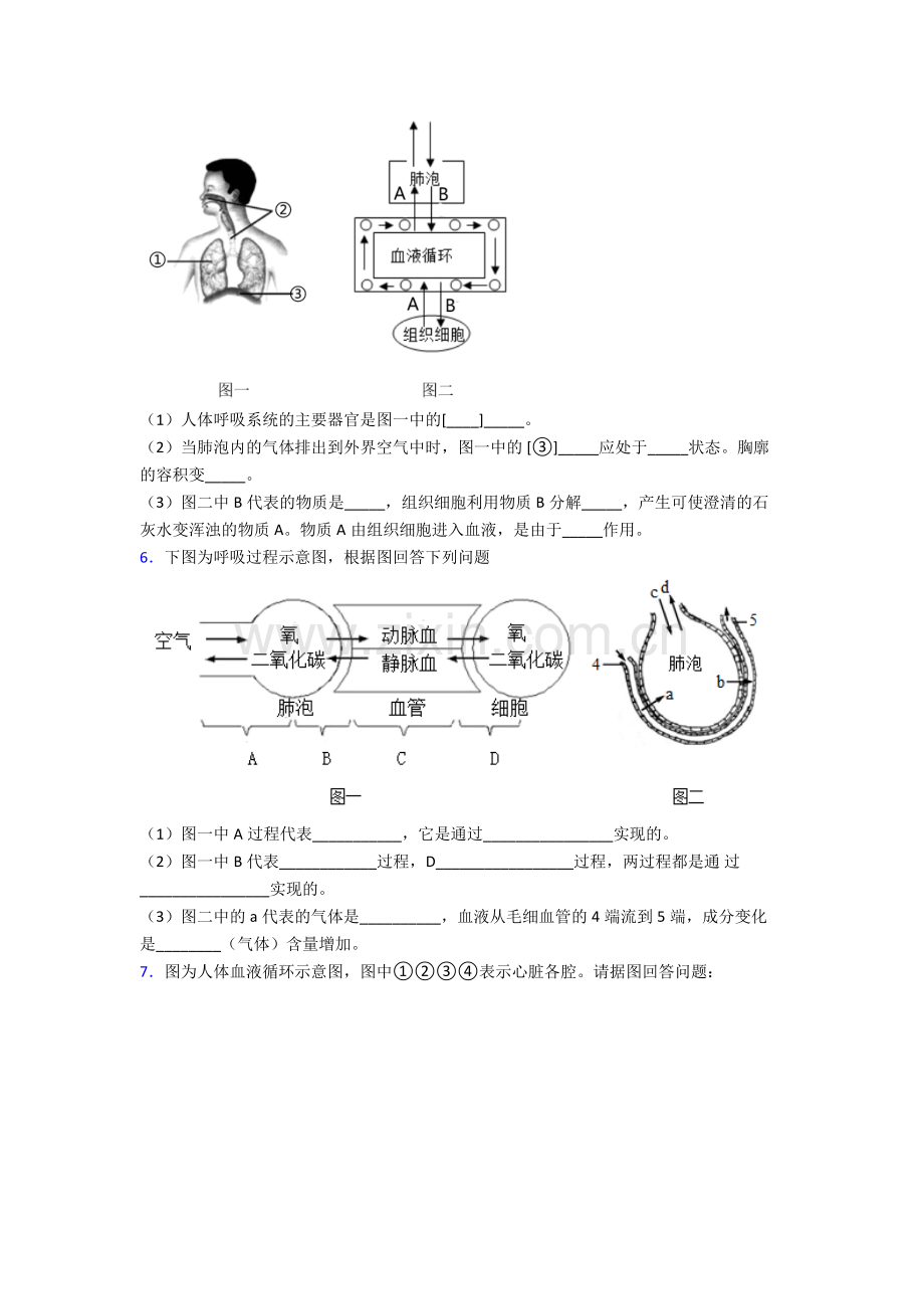 人教七年级下册生物期末解答实验探究大题综合复习含答案图文.doc_第3页