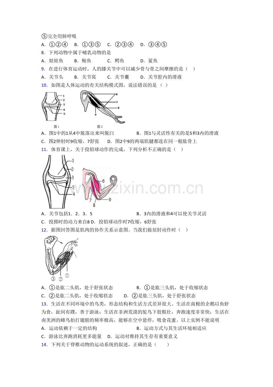 初二上学期期末模拟生物质量检测试题答案.doc_第2页