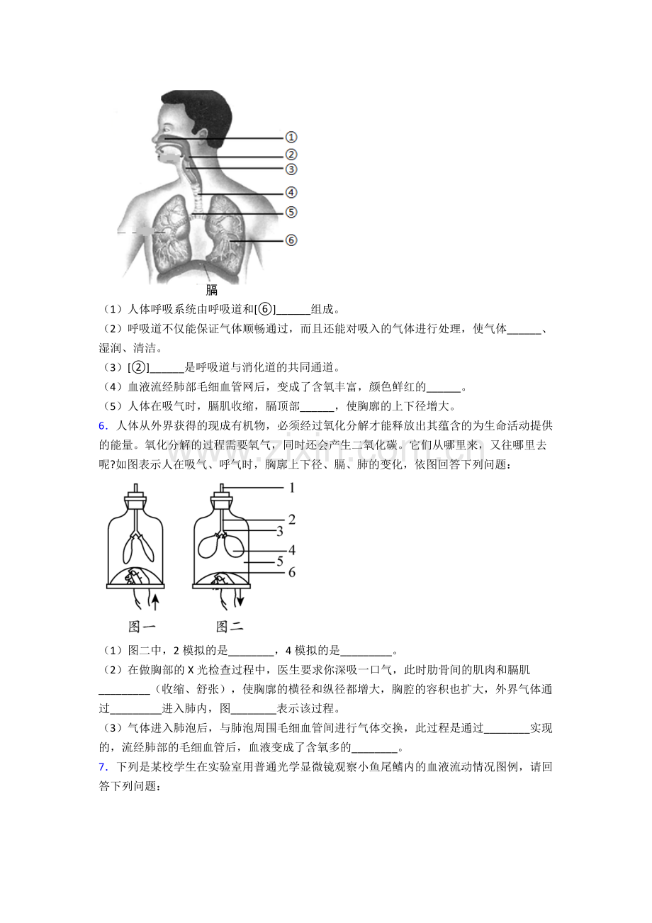 2023年人教版中学初一下册生物期末解答实验探究大题质量监测试卷(及答案)大全.doc_第3页