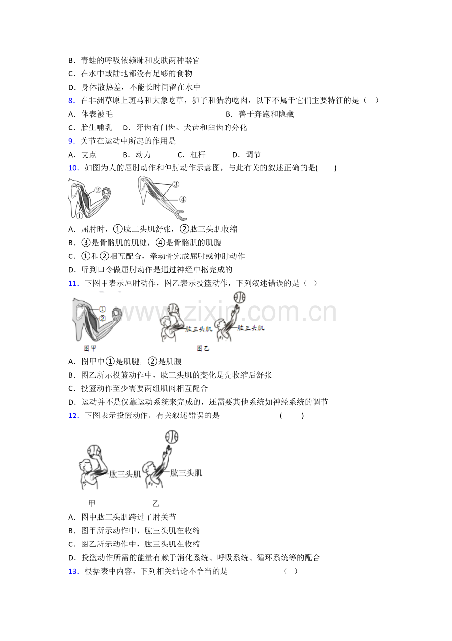 八年级生物上学期期末强化检测试卷附答案.doc_第2页