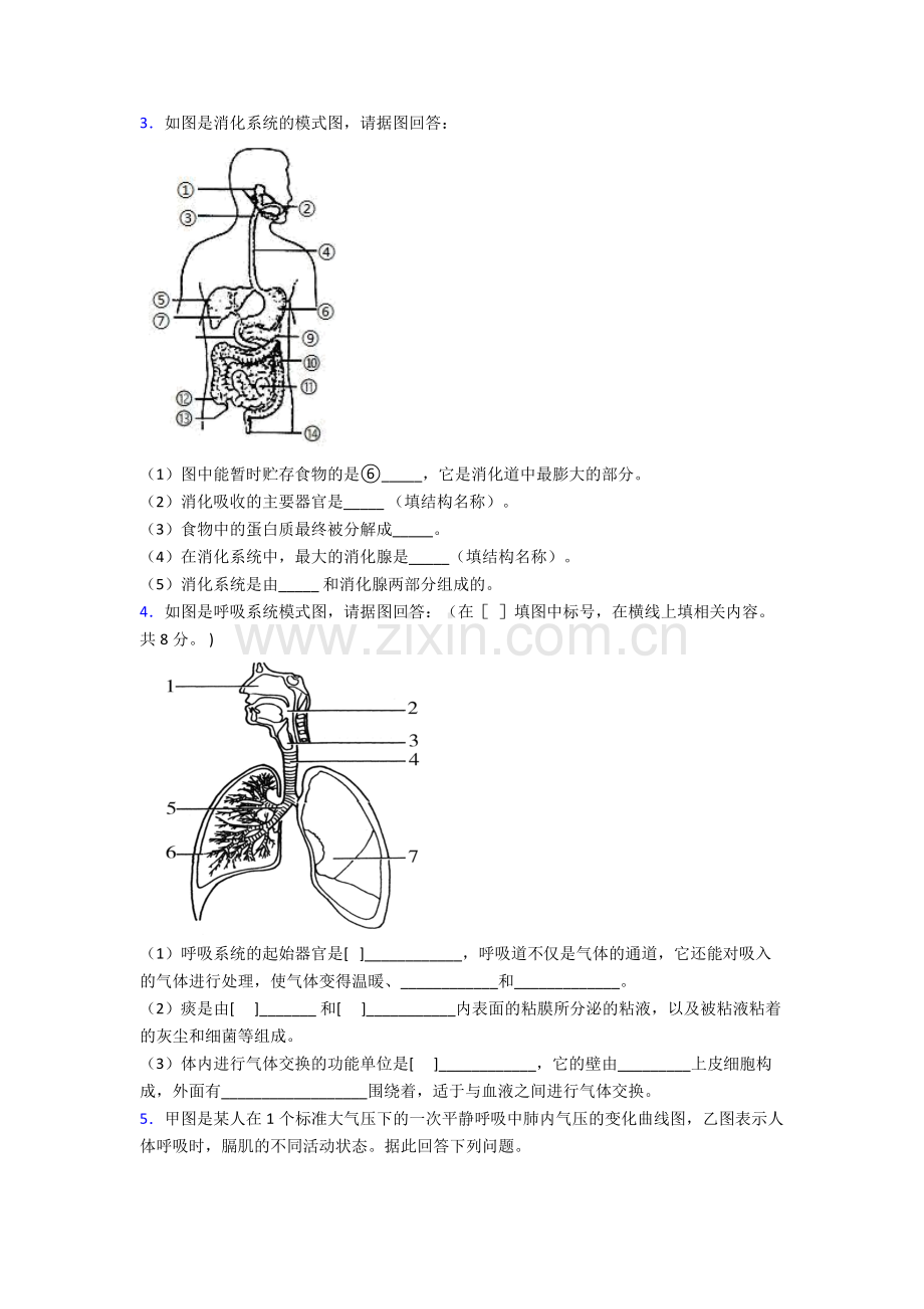 2024年人教版初一下册生物期末解答实验探究大题复习试卷含解析.doc_第2页