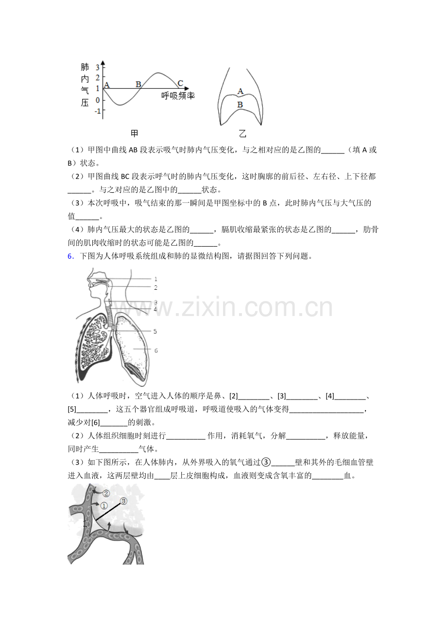 2024年人教版初一下册生物期末解答实验探究大题复习试卷含解析.doc_第3页