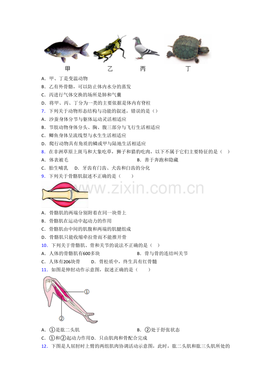 初二上册期末模拟生物检测试卷附答案.doc_第2页