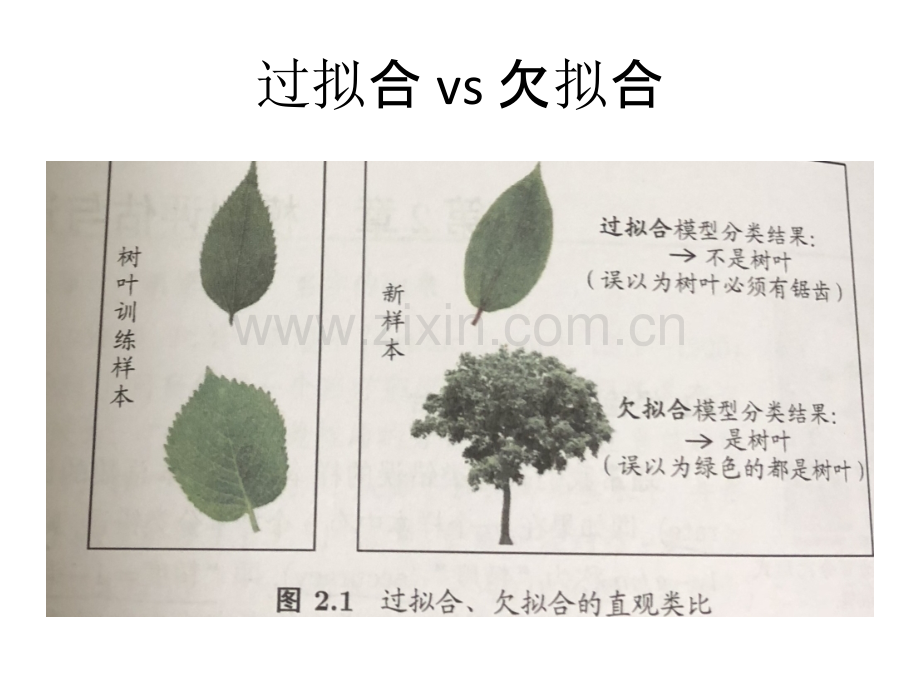 数据挖掘模型选择.ppt_第3页