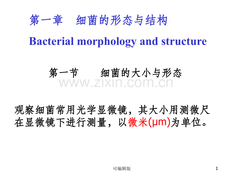 细菌的形态与结构(13).ppt_第1页