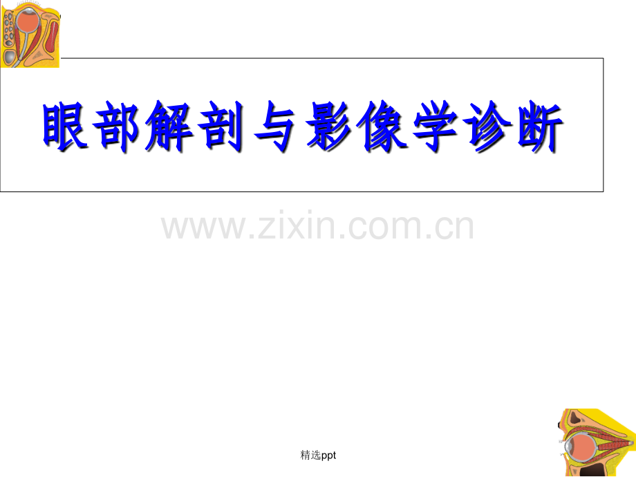 眼部解剖与影像学诊断.ppt_第1页