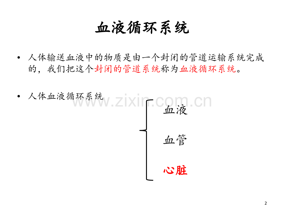 营养物质的运输心脏.ppt_第2页